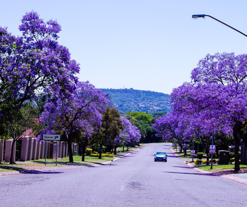 pretoria