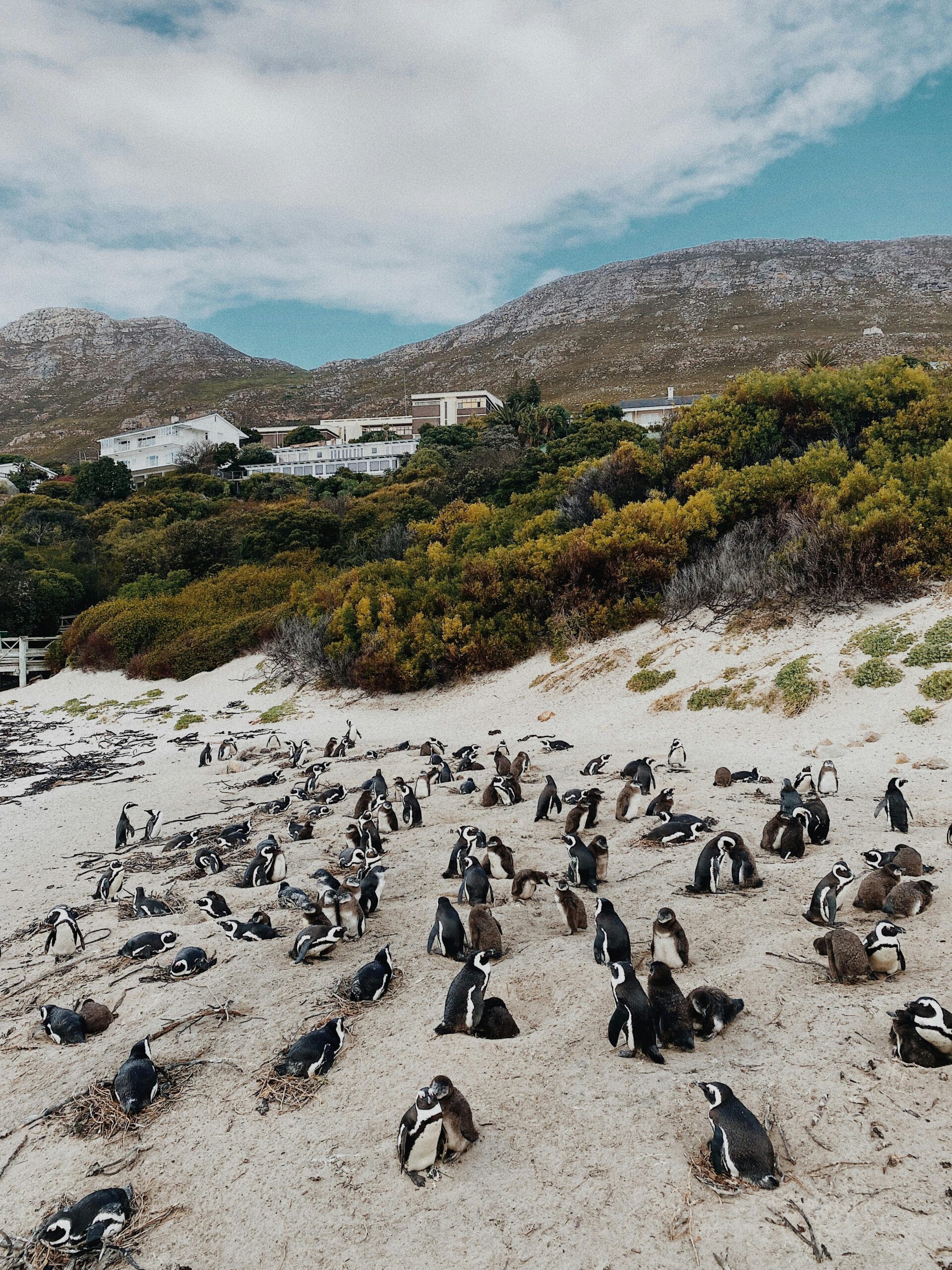 bãi biển boulders 3
