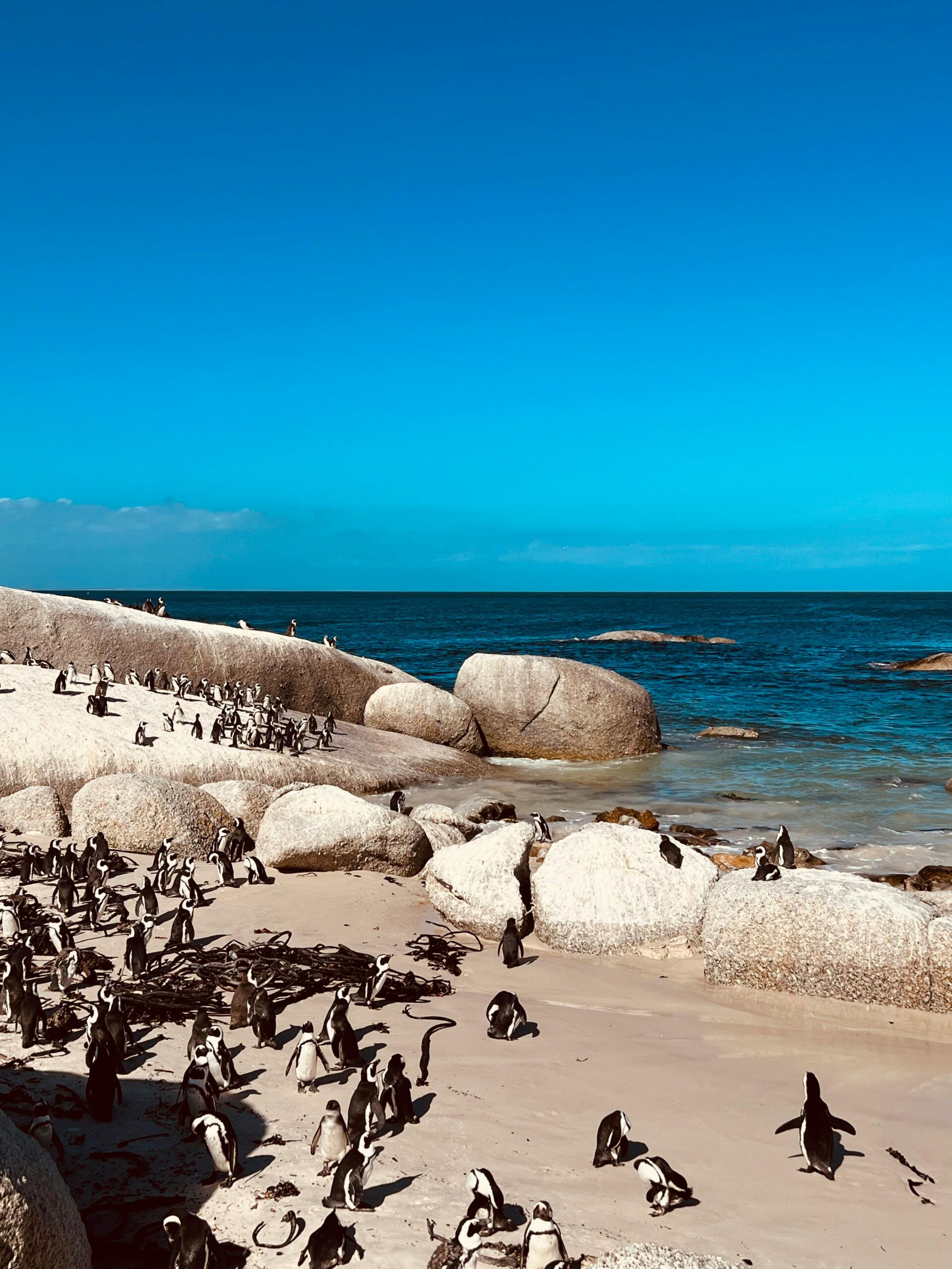 bãi biển boulders 4