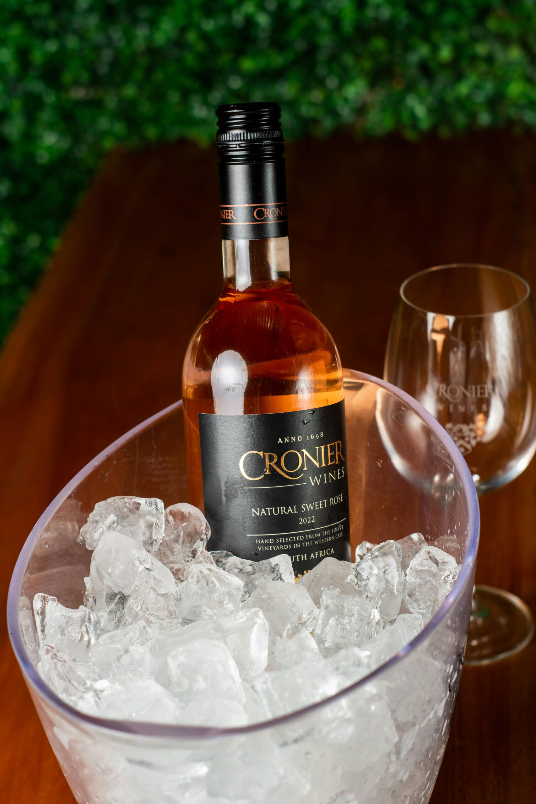 rượu vang nam phi